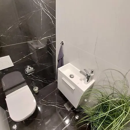 Luxury 公寓 卢布尔雅那